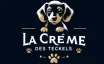 La Crème des Teckels