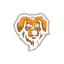 Retriever de la Nouvelle-Écosse