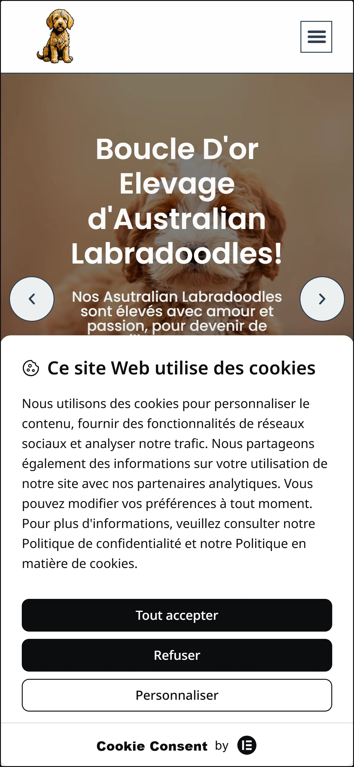 Version 2024, page d'accueil sur téléphone