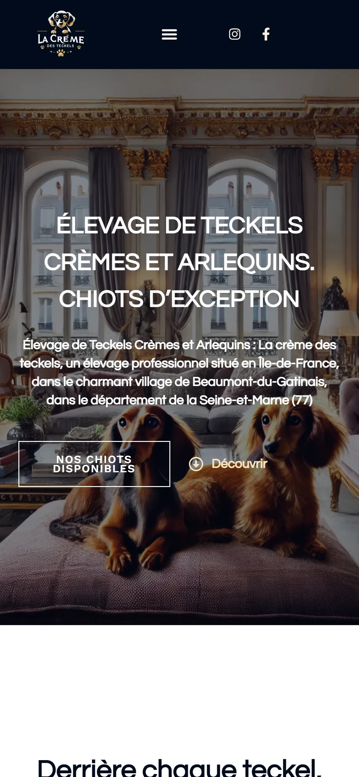 Version 2024, page d'accueil sur téléphone