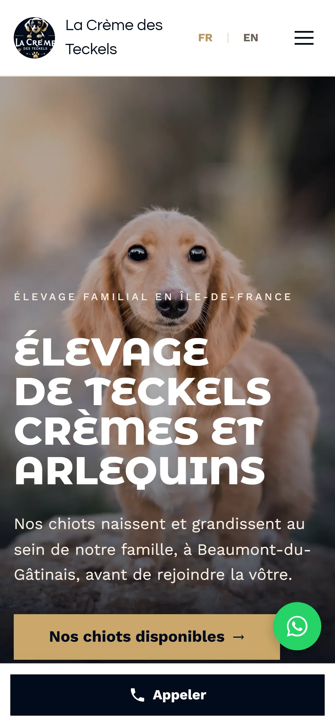 Refonte 2026, page d'accueil sur téléphone