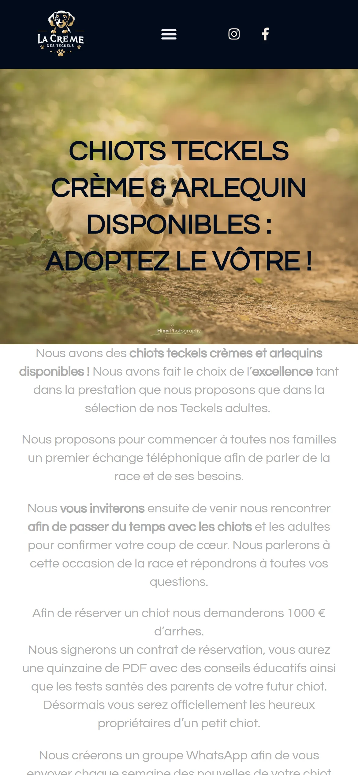 Version 2024, chiots disponibles sur téléphone