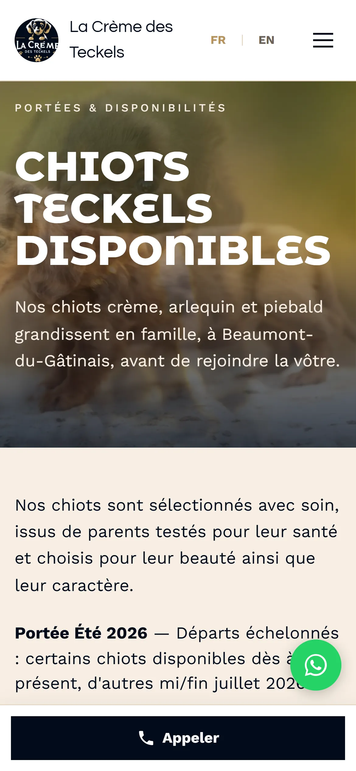 Refonte 2026, chiots disponibles sur téléphone