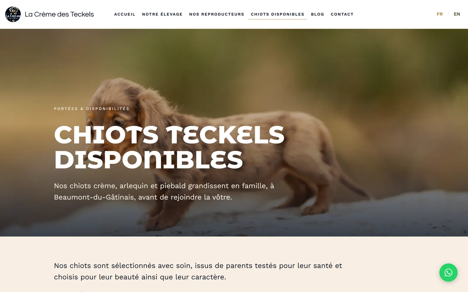 Refonte 2026 : page « chiots disponibles », entrée vers les fiches individuelles de la portée