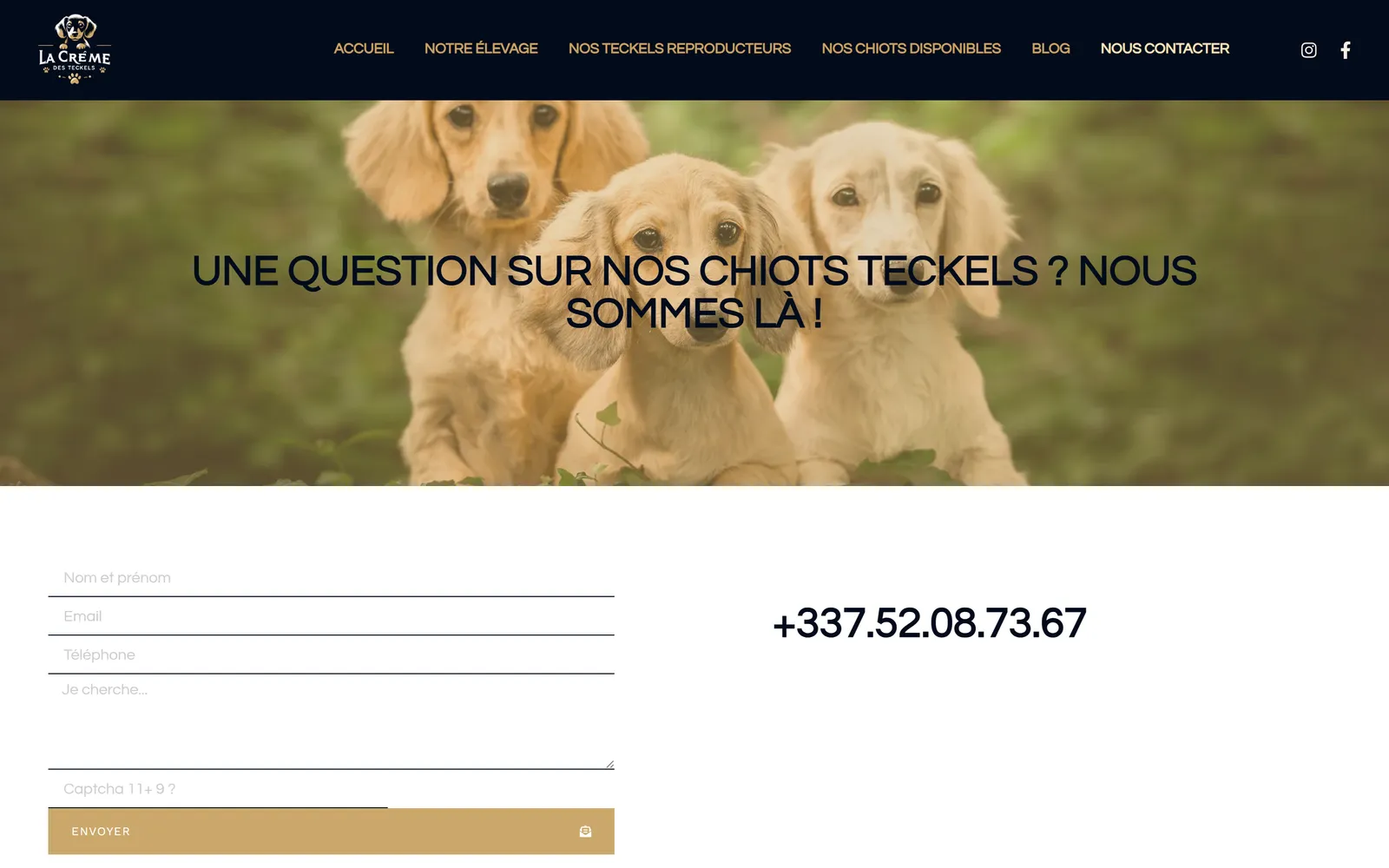 Version 2024, page « Nous contacter »