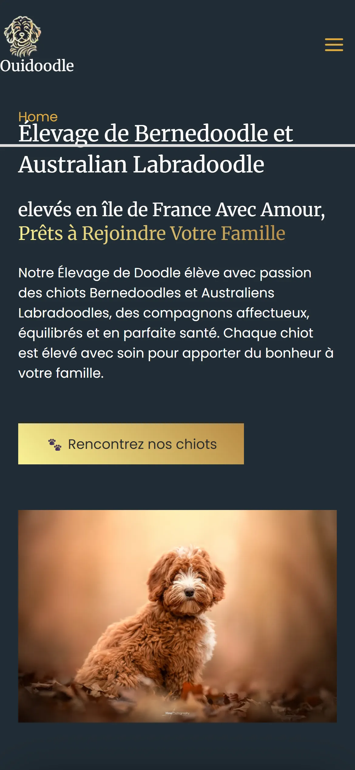 Version 2024, page d'accueil sur téléphone