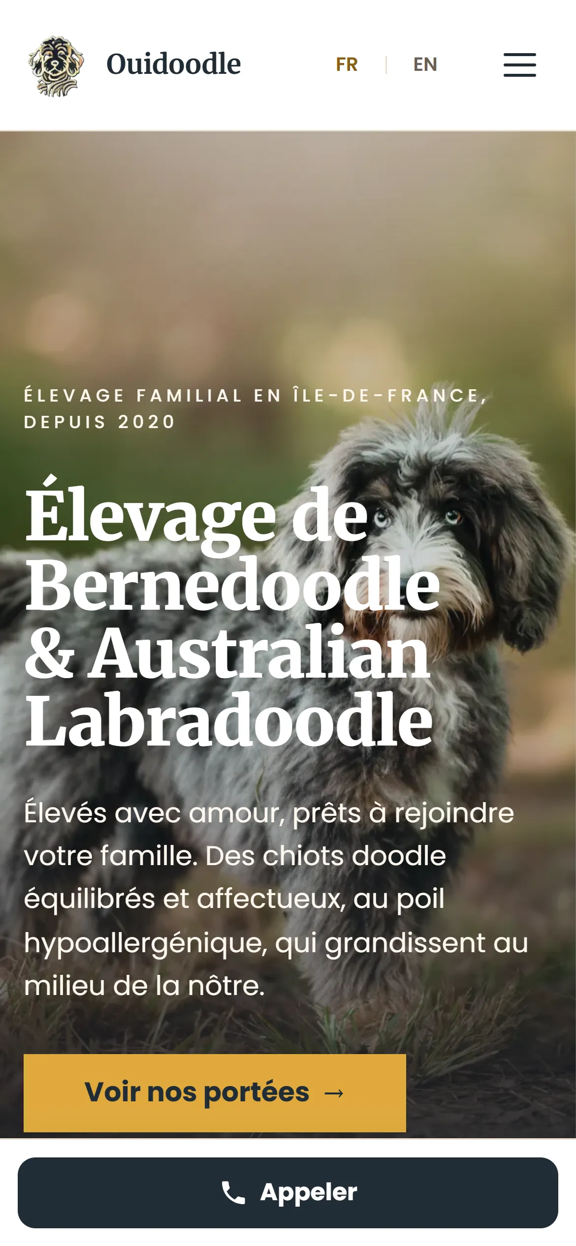 Refonte 2026, page d'accueil sur téléphone