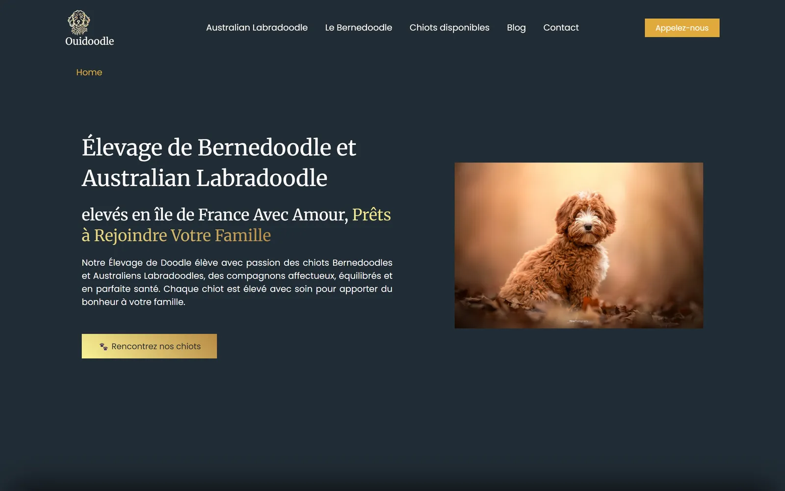 Version 2024, page d'accueil du site WordPress