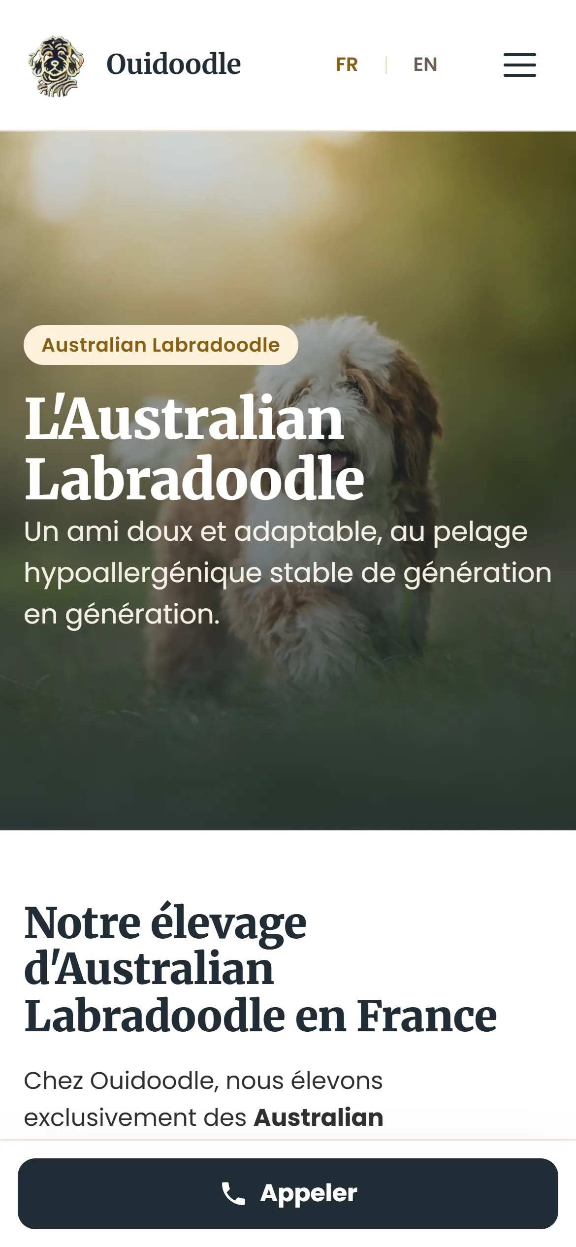 Refonte 2026, page Australian Labradoodle sur téléphone