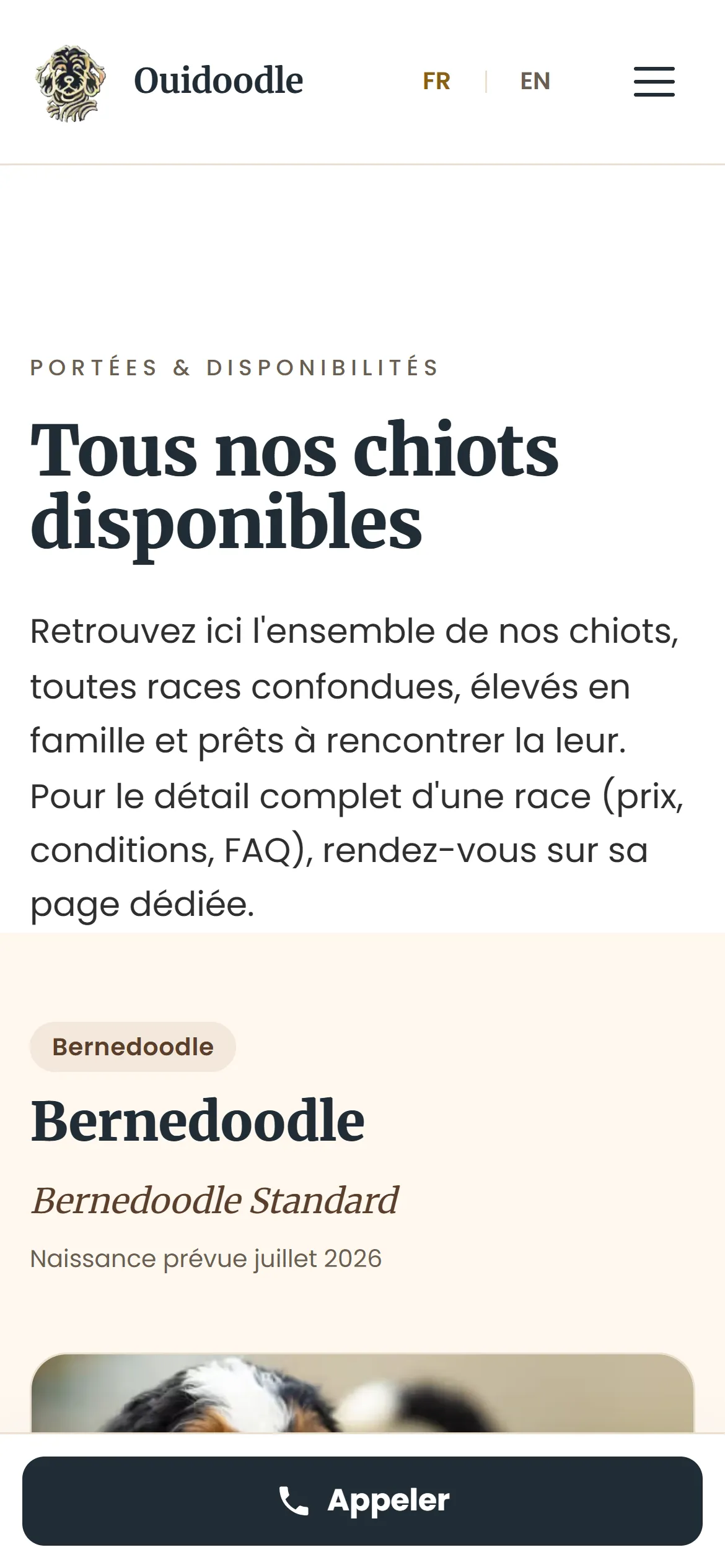 Refonte 2026, portées disponibles sur téléphone