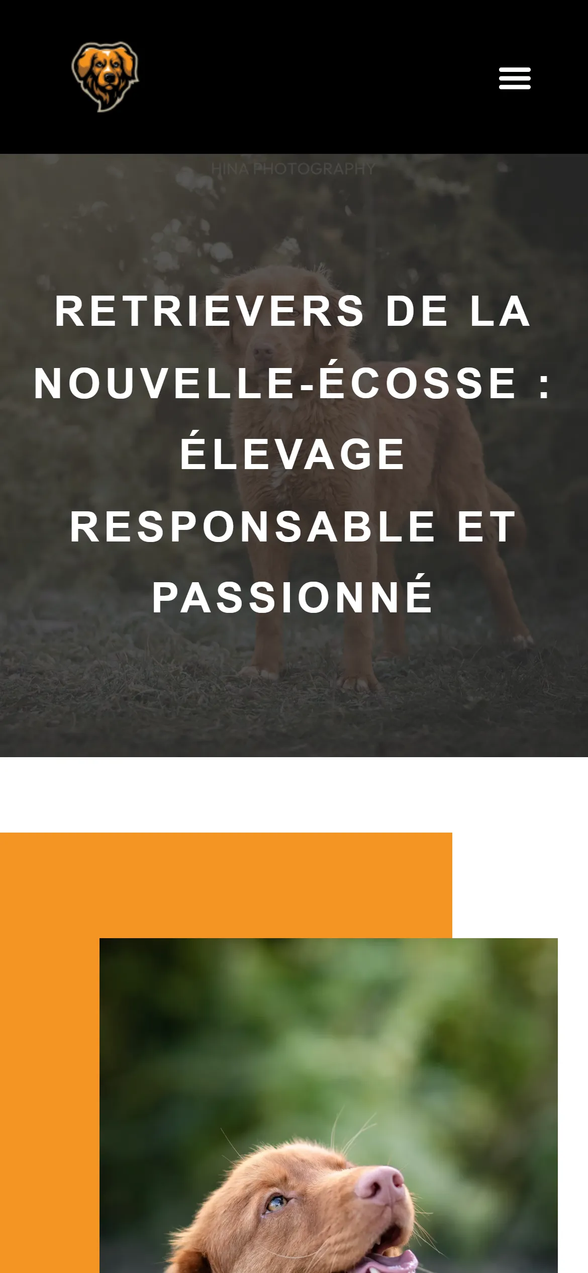 Version 2024, accueil sur téléphone