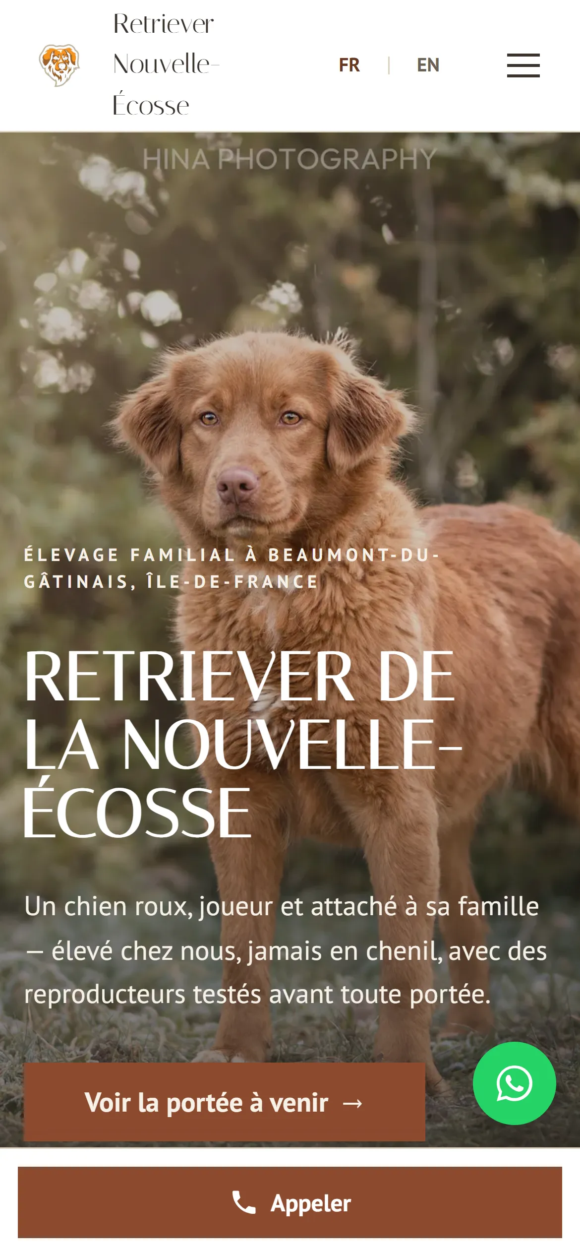 Refonte 2026, accueil sur téléphone