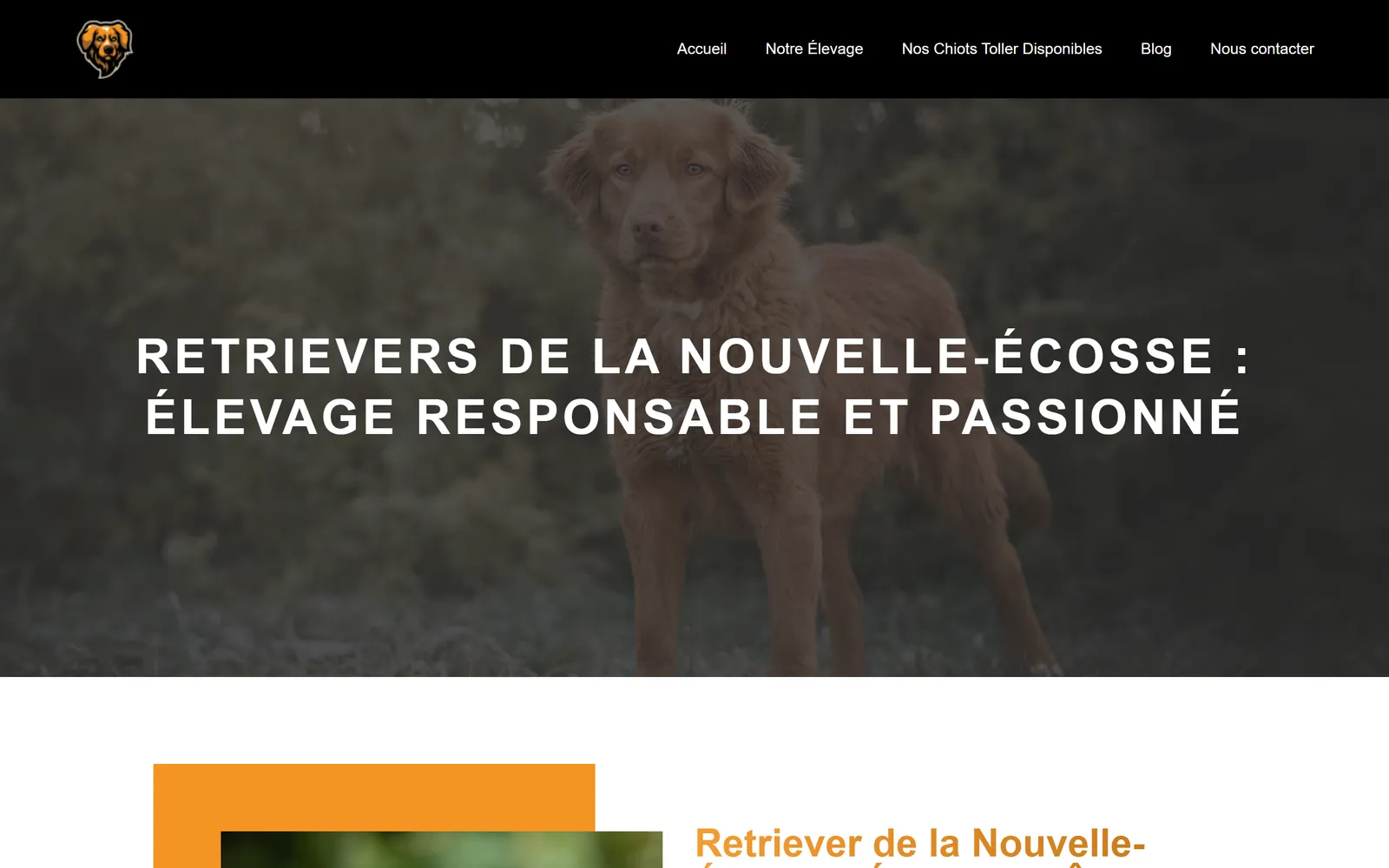 Version 2024, page d'accueil