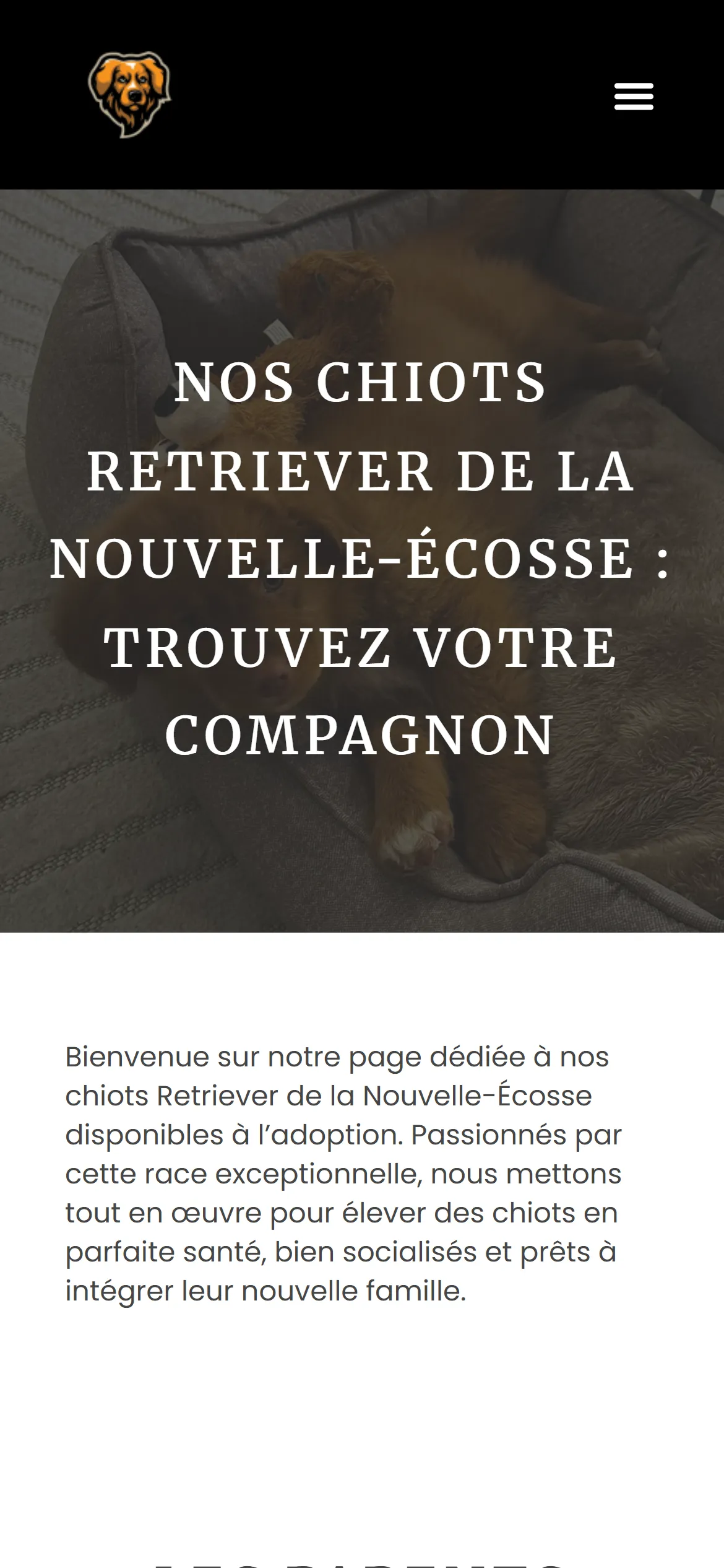 Version 2024, chiots disponibles sur téléphone