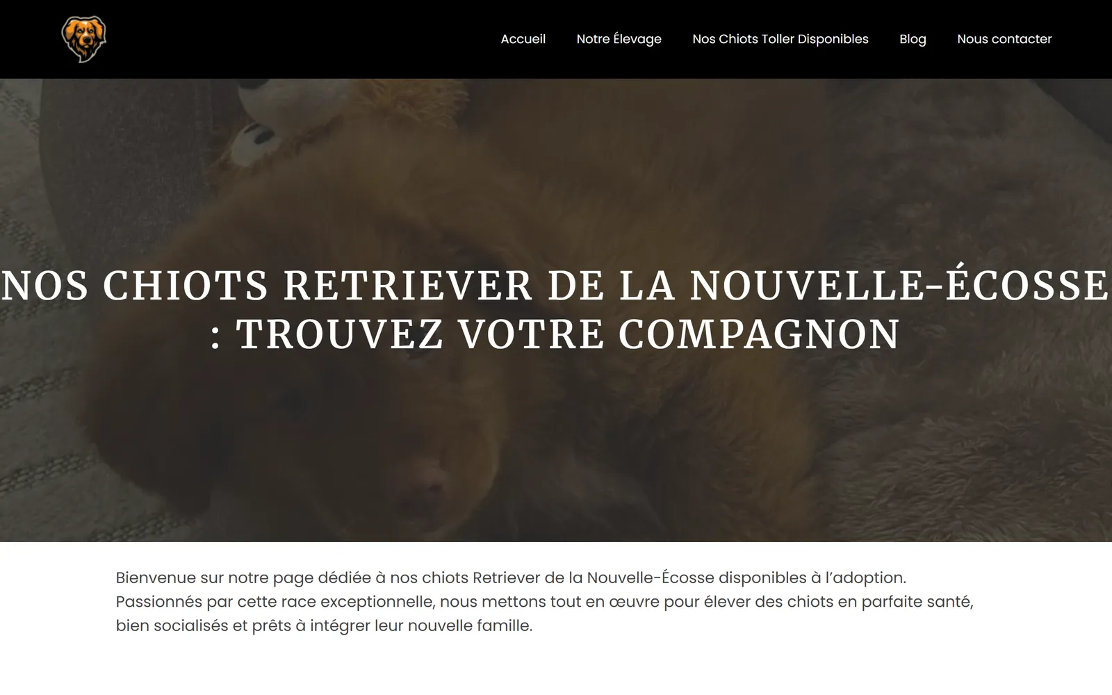 Version 2024 : chiots disponibles, avec les fiches des reproducteurs