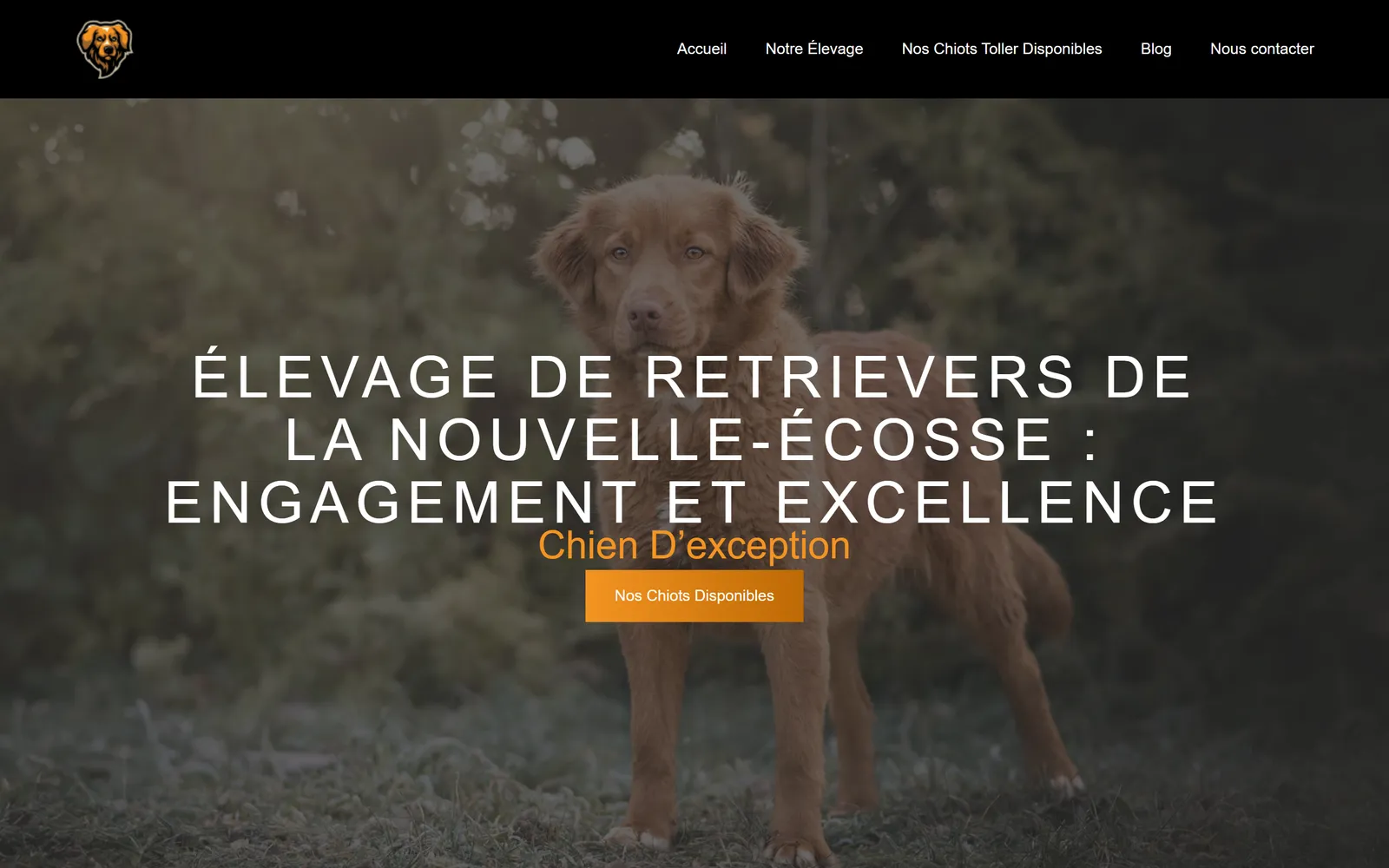 Version 2024, page de présentation de l'élevage