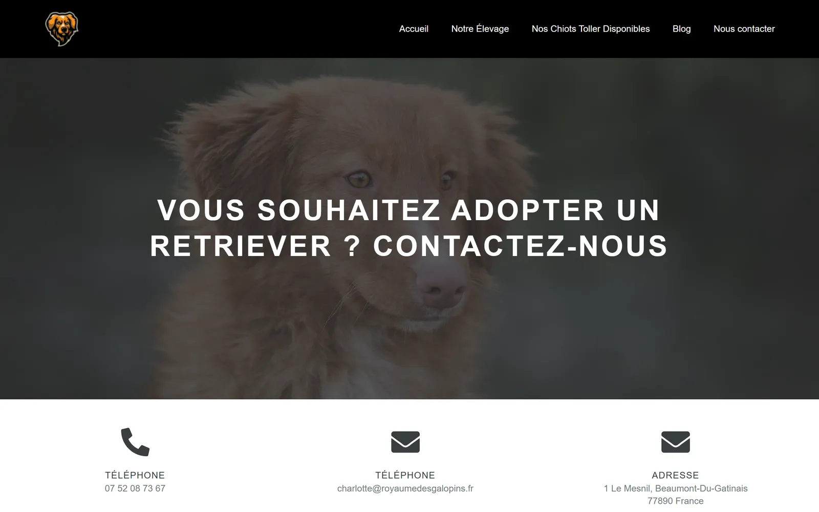 Version 2024, page de contact