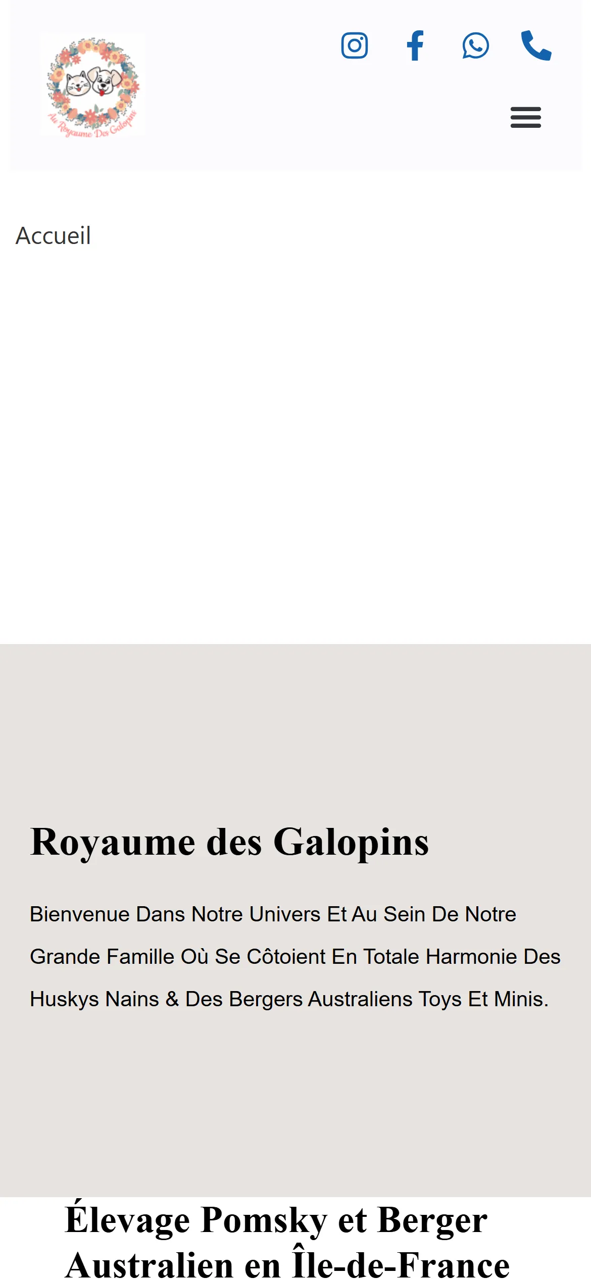 Version 2024, page d'accueil sur téléphone