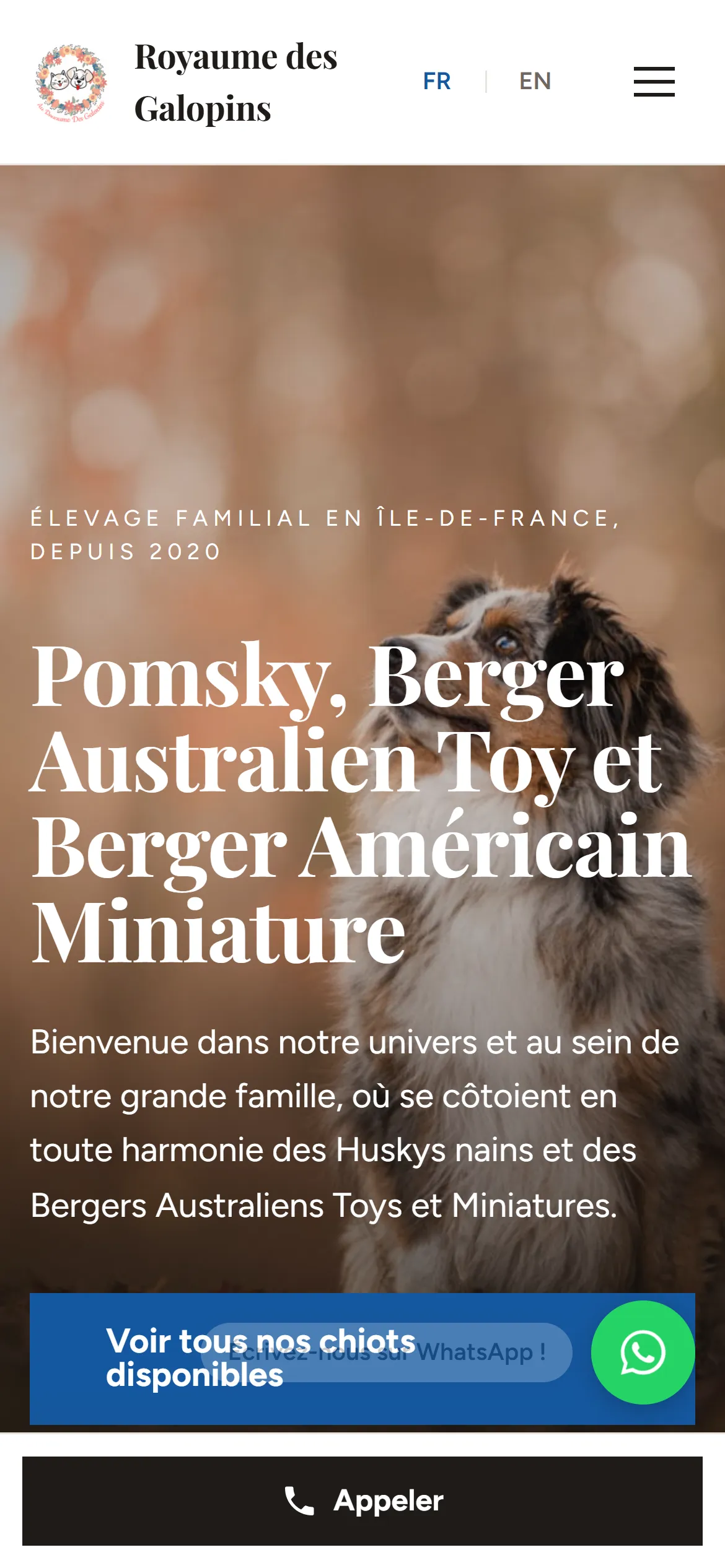 Refonte 2026, page d'accueil sur téléphone