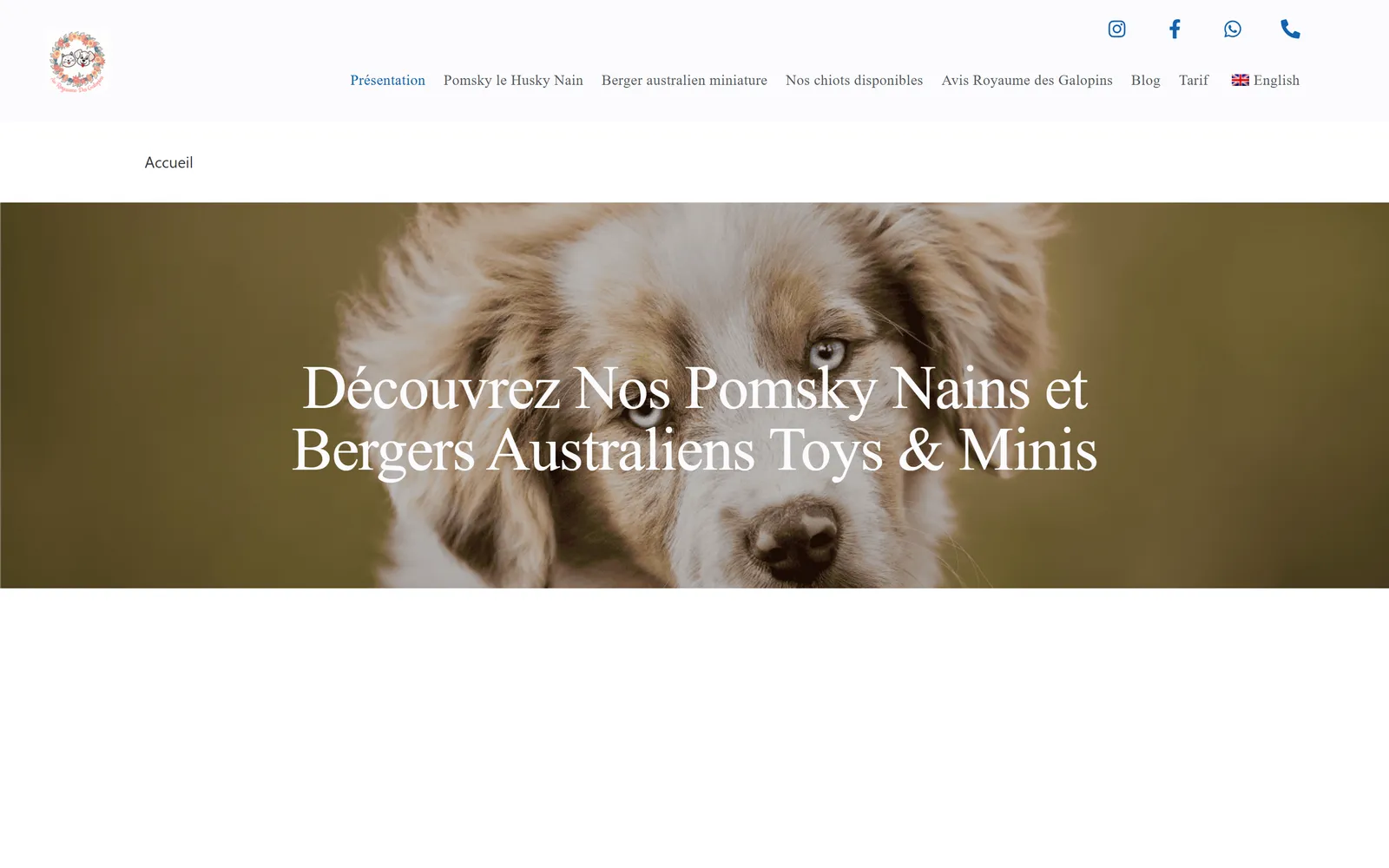 Version 2024, page d'accueil du site WordPress
