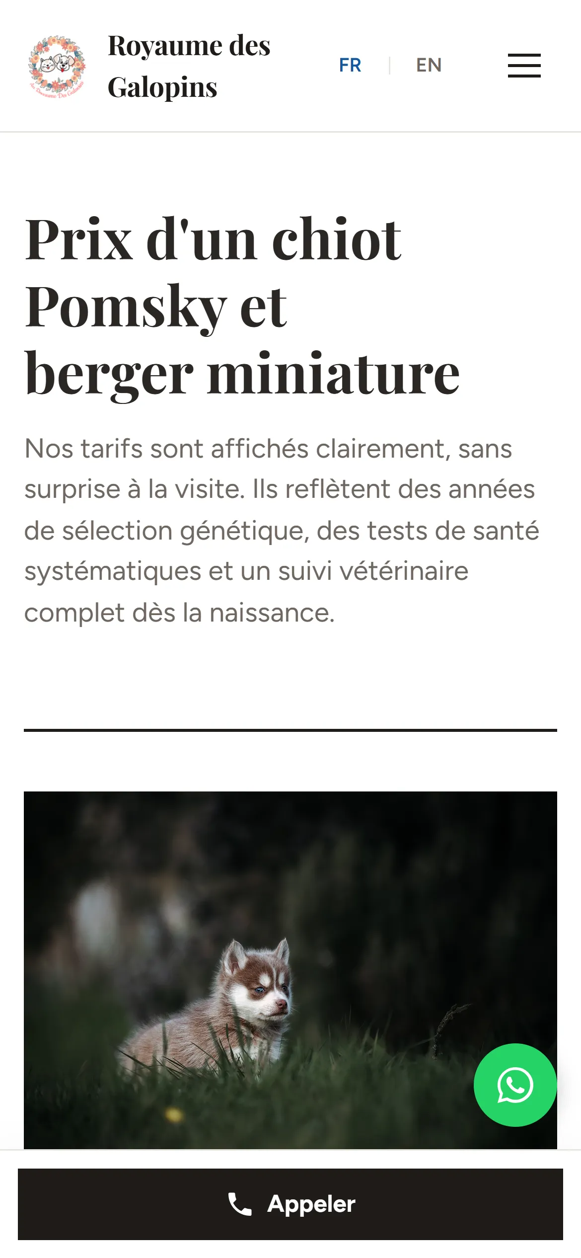 Refonte 2026, page des tarifs sur téléphone