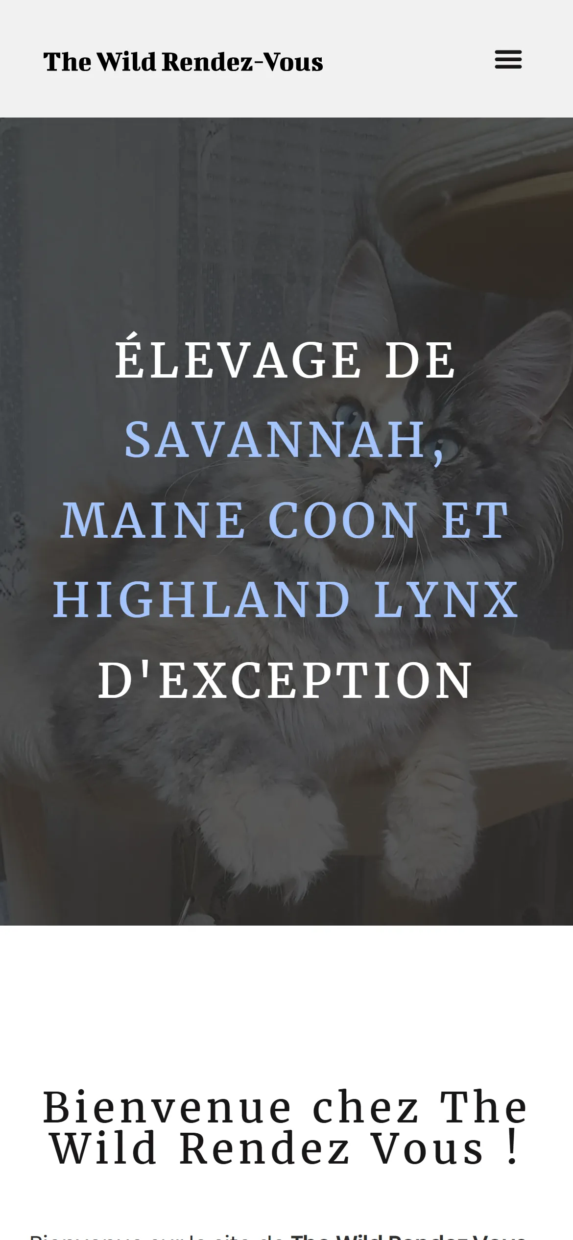 Version 2024, page d'accueil sur téléphone