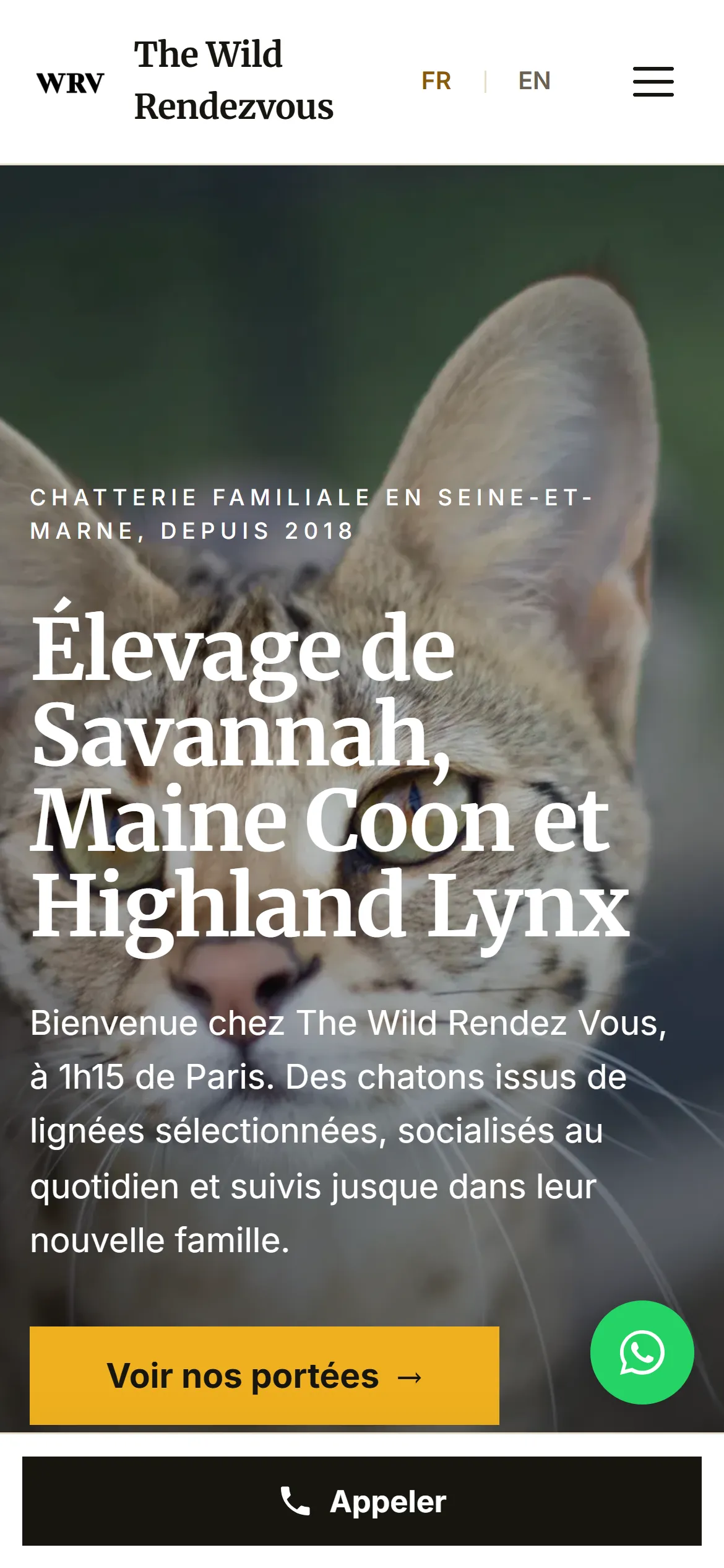 Refonte 2026, page d'accueil sur téléphone, avec barre d'appel fixe