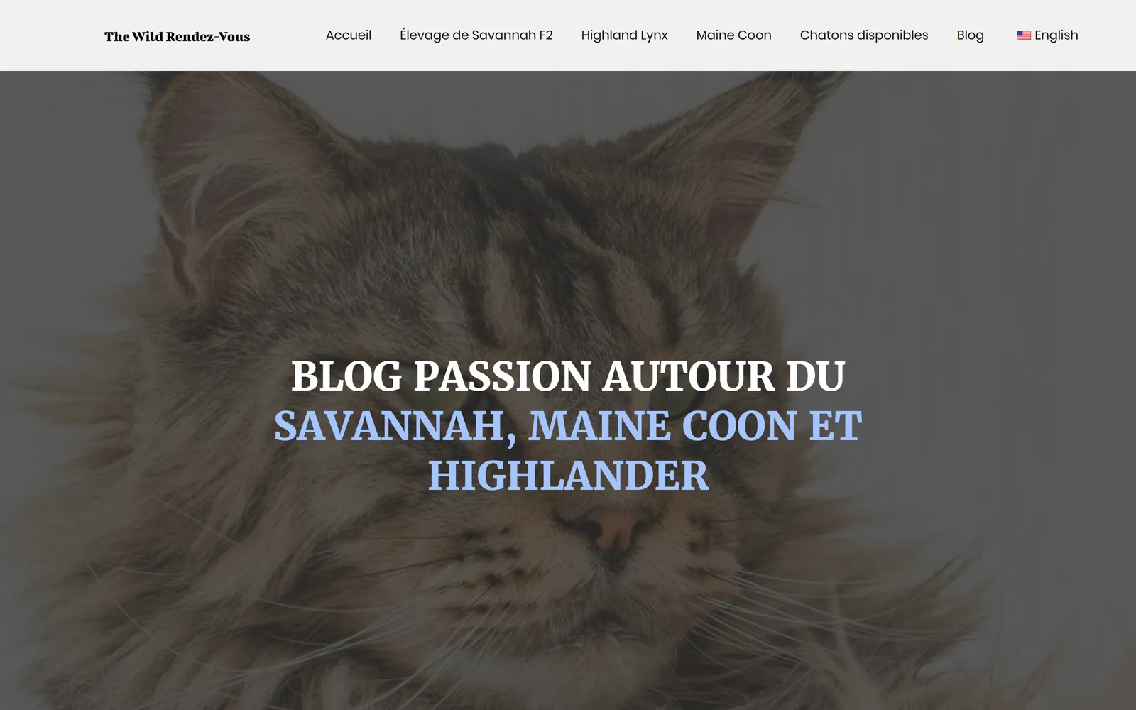 Version 2024, blog de la chatterie