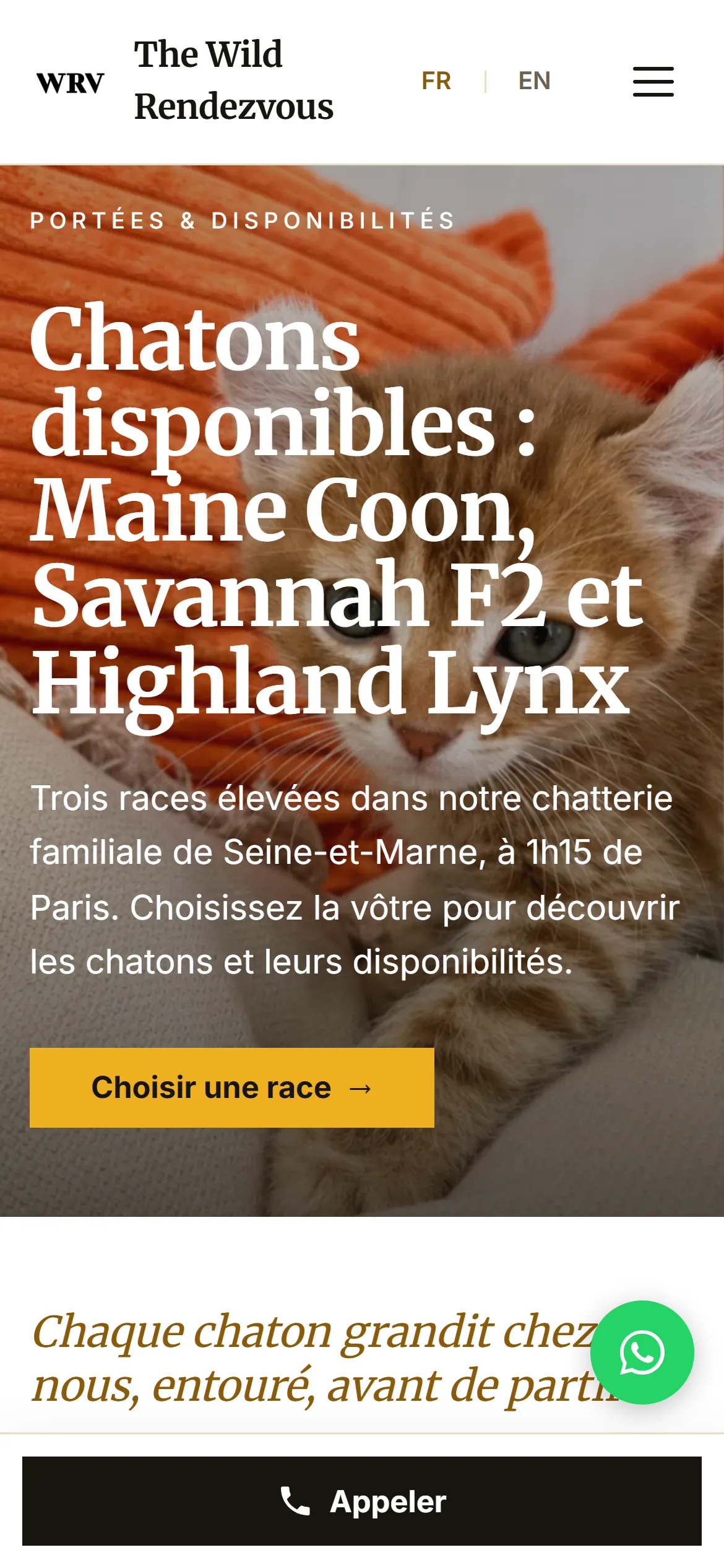 Refonte 2026, chatons disponibles sur téléphone