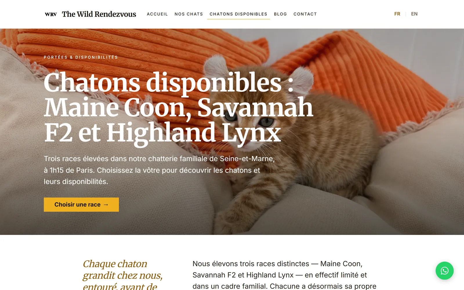 Refonte 2026 : page des chatons disponibles, orientée choix de la race